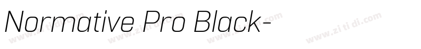 Normative Pro Black字体转换